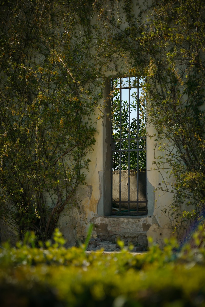 Photo by Lucas Calloch a window in the side of a building surrounded by trees
