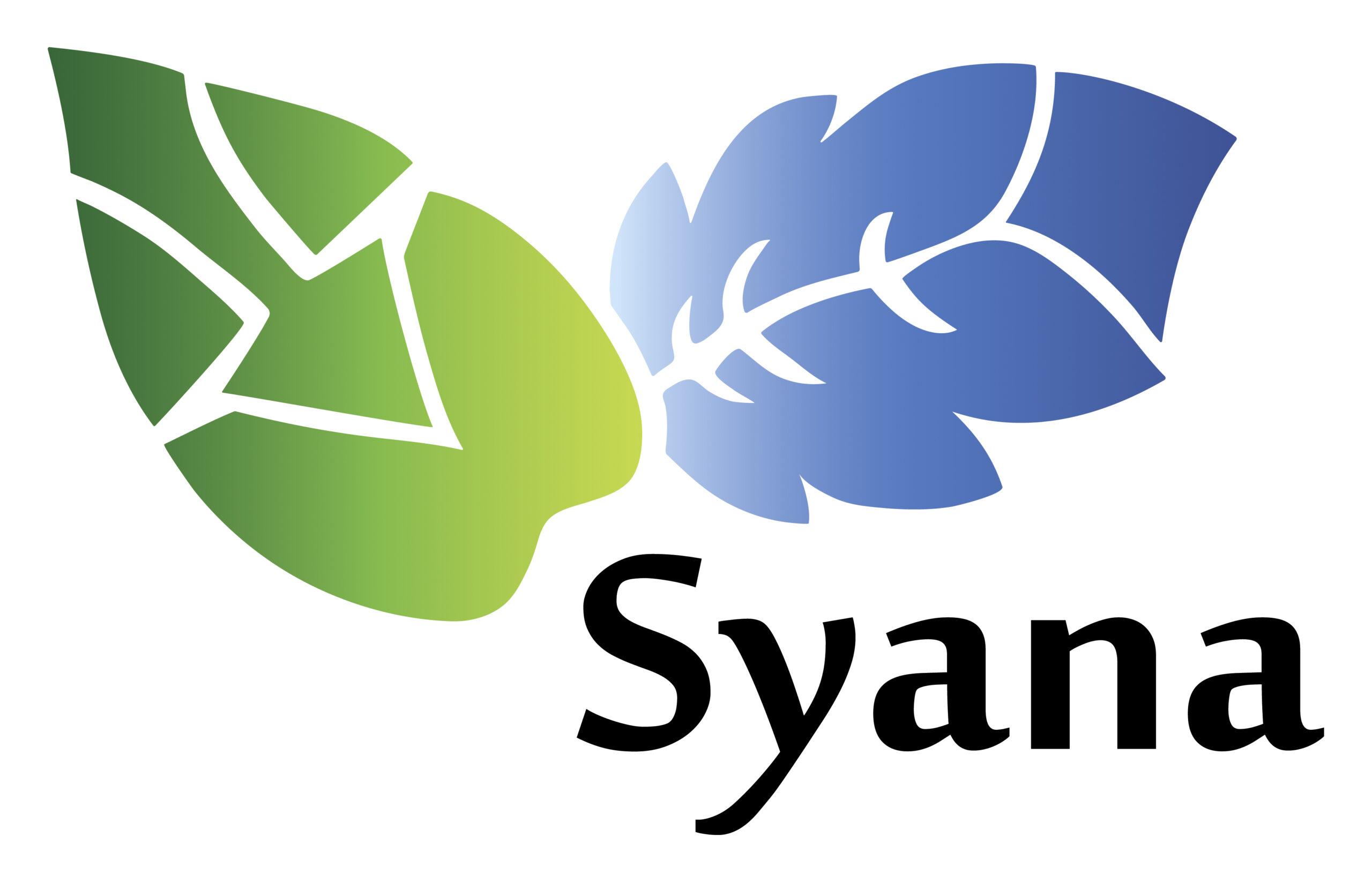 Logo_Syana_final_complet_CMJN
